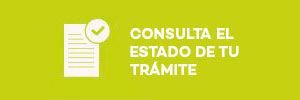 consulta-el-estado-de-tu-trámite